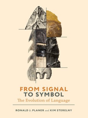 From Signal to Symbol - ebook